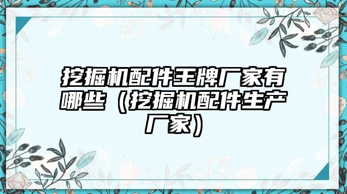 挖掘機配件王牌廠家有哪些（挖掘機配件生產廠家）