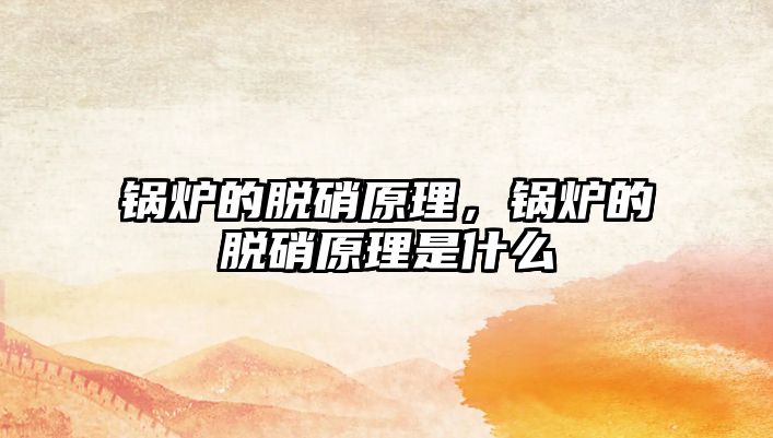 鍋爐的脫硝原理，鍋爐的脫硝原理是什么