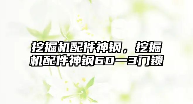 挖掘機(jī)配件神鋼，挖掘機(jī)配件神鋼60一3門鎖