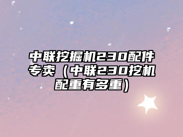 中聯挖掘機230配件專賣（中聯230挖機配重有多重）