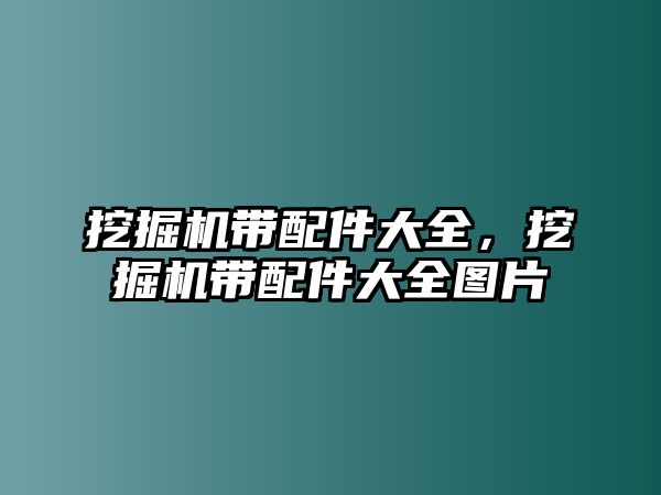 挖掘機帶配件大全，挖掘機帶配件大全圖片