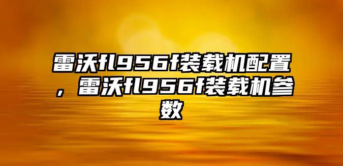 雷沃fl956f裝載機配置，雷沃fl956f裝載機參數