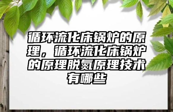 循環流化床鍋爐的原理，循環流化床鍋爐的原理脫氮原理技術有哪些