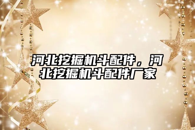 河北挖掘機斗配件，河北挖掘機斗配件廠家