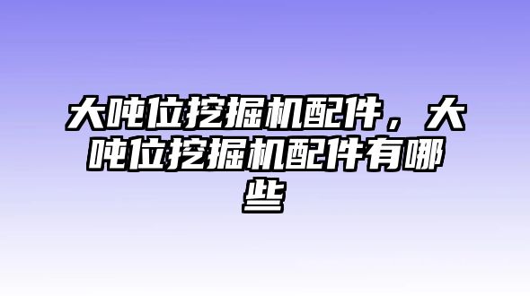 大噸位挖掘機(jī)配件，大噸位挖掘機(jī)配件有哪些