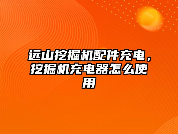 遠山挖掘機配件充電，挖掘機充電器怎么使用