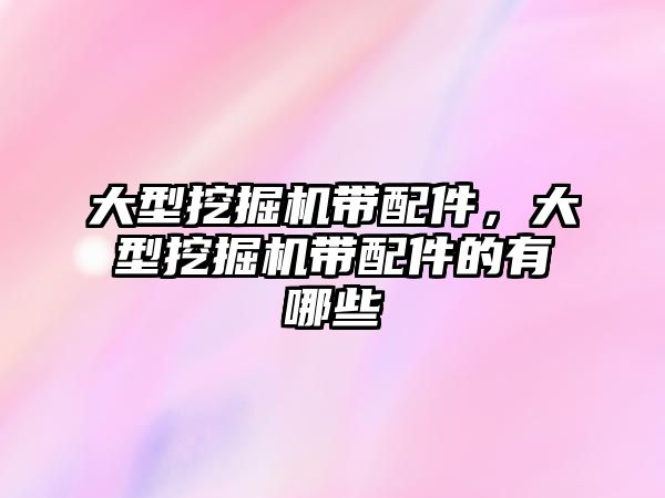 大型挖掘機帶配件，大型挖掘機帶配件的有哪些