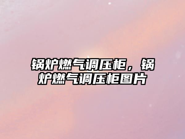 鍋爐燃?xì)庹{(diào)壓柜，鍋爐燃?xì)庹{(diào)壓柜圖片