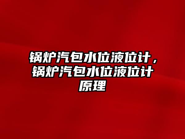 鍋爐汽包水位液位計，鍋爐汽包水位液位計原理