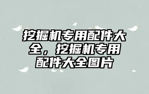 挖掘機專用配件大全，挖掘機專用配件大全圖片