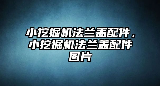 小挖掘機法蘭蓋配件，小挖掘機法蘭蓋配件圖片