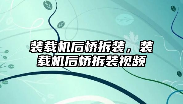 裝載機后橋拆裝，裝載機后橋拆裝視頻