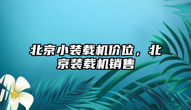 北京小裝載機價位，北京裝載機銷售