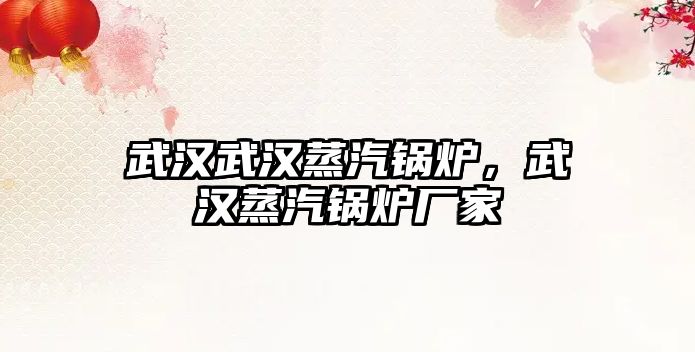 武漢武漢蒸汽鍋爐，武漢蒸汽鍋爐廠家