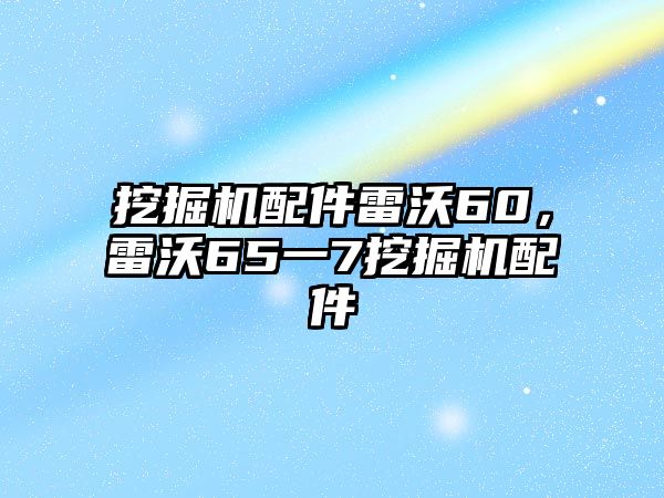 挖掘機配件雷沃60，雷沃65一7挖掘機配件