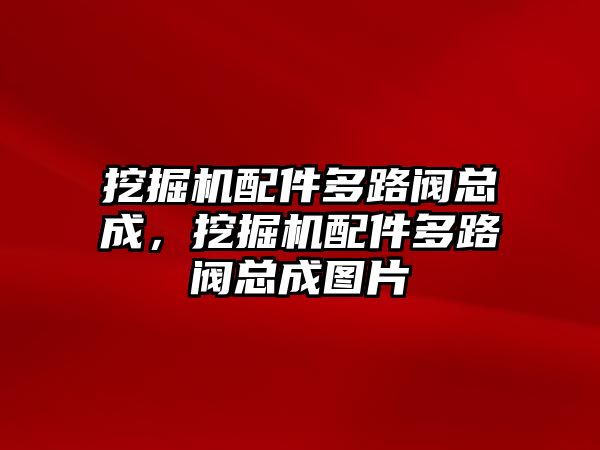 挖掘機配件多路閥總成，挖掘機配件多路閥總成圖片