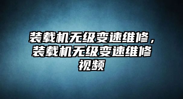 裝載機無級變速維修，裝載機無級變速維修視頻