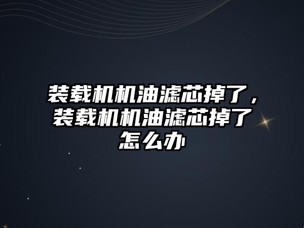 裝載機機油濾芯掉了，裝載機機油濾芯掉了怎么辦