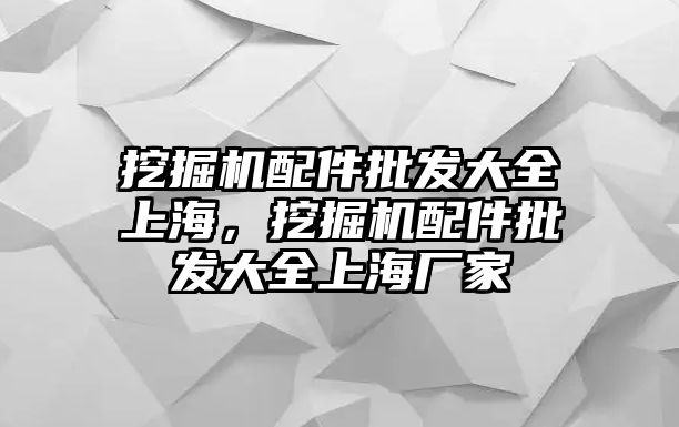 挖掘機(jī)配件批發(fā)大全上海，挖掘機(jī)配件批發(fā)大全上海廠家