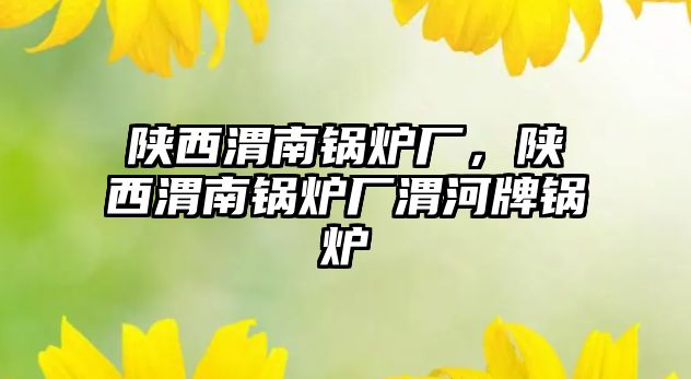 陜西渭南鍋爐廠，陜西渭南鍋爐廠渭河牌鍋爐