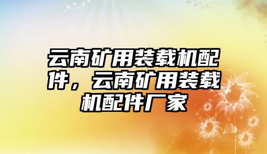 云南礦用裝載機配件，云南礦用裝載機配件廠家