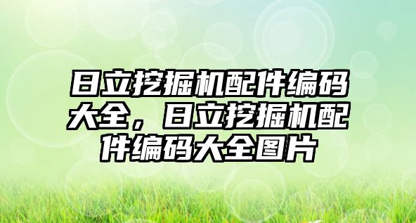 日立挖掘機配件編碼大全，日立挖掘機配件編碼大全圖片