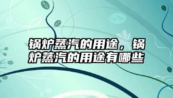 鍋爐蒸汽的用途，鍋爐蒸汽的用途有哪些