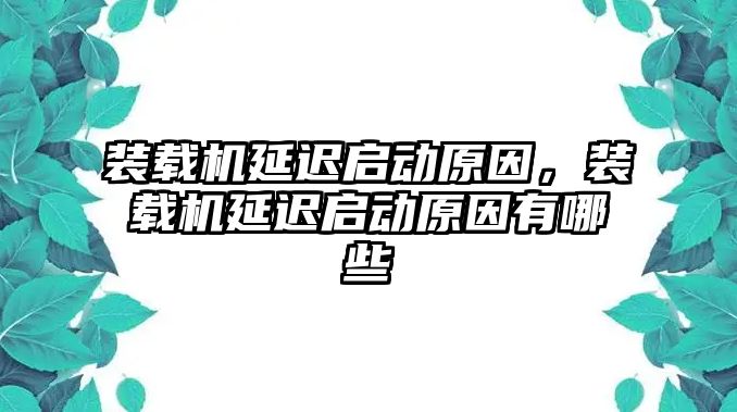 裝載機(jī)延遲啟動(dòng)原因，裝載機(jī)延遲啟動(dòng)原因有哪些