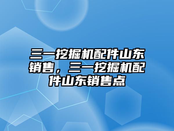 三一挖掘機配件山東銷售，三一挖掘機配件山東銷售點