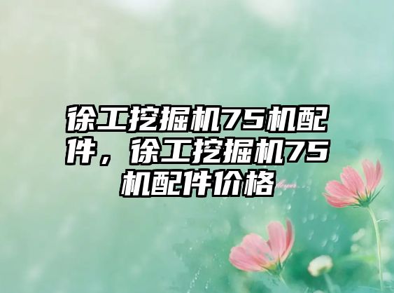 徐工挖掘機75機配件，徐工挖掘機75機配件價格