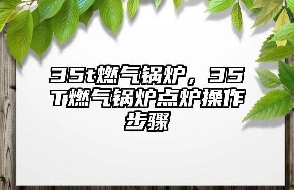 35t燃?xì)忮仩t，35T燃?xì)忮仩t點(diǎn)爐操作步驟