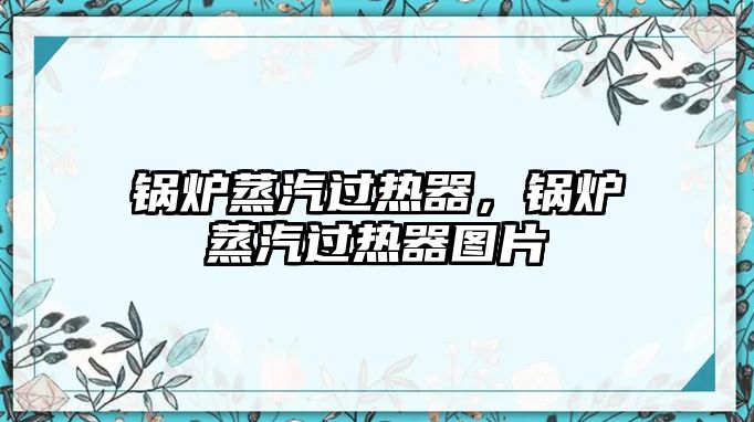 鍋爐蒸汽過熱器，鍋爐蒸汽過熱器圖片