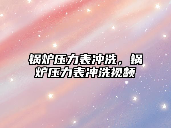 鍋爐壓力表沖洗，鍋爐壓力表沖洗視頻