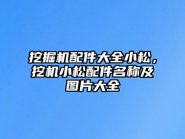 挖掘機配件大全小松，挖機小松配件名稱及圖片大全