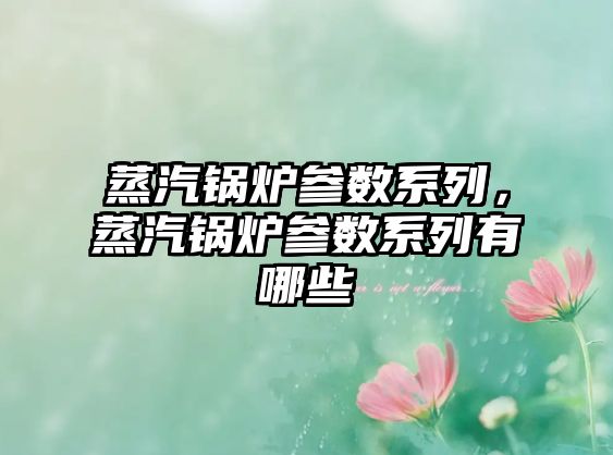 蒸汽鍋爐參數(shù)系列，蒸汽鍋爐參數(shù)系列有哪些