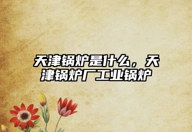 天津鍋爐是什么，天津鍋爐廠工業鍋爐