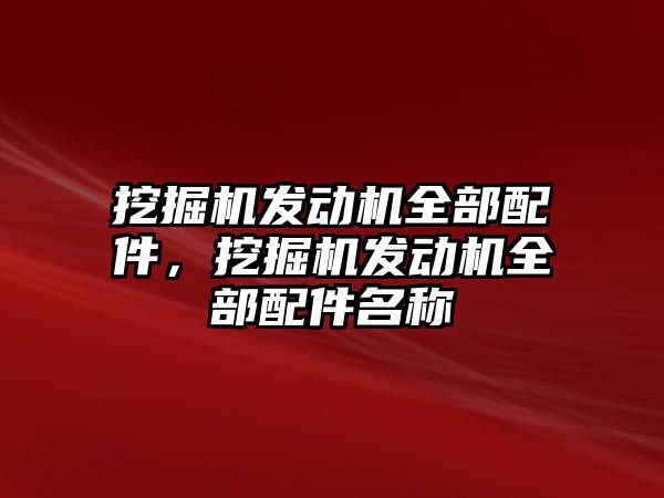 挖掘機發動機全部配件，挖掘機發動機全部配件名稱