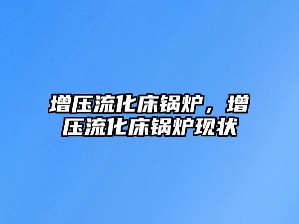 增壓流化床鍋爐，增壓流化床鍋爐現狀