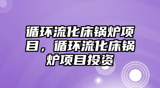 循環流化床鍋爐項目，循環流化床鍋爐項目投資