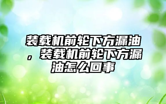 裝載機前輪下方漏油，裝載機前輪下方漏油怎么回事