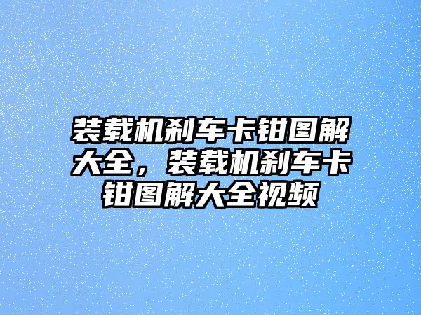 裝載機剎車卡鉗圖解大全，裝載機剎車卡鉗圖解大全視頻