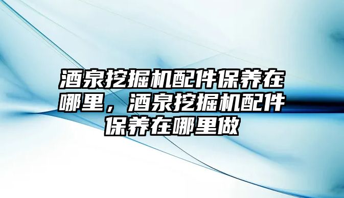 酒泉挖掘機配件保養在哪里，酒泉挖掘機配件保養在哪里做