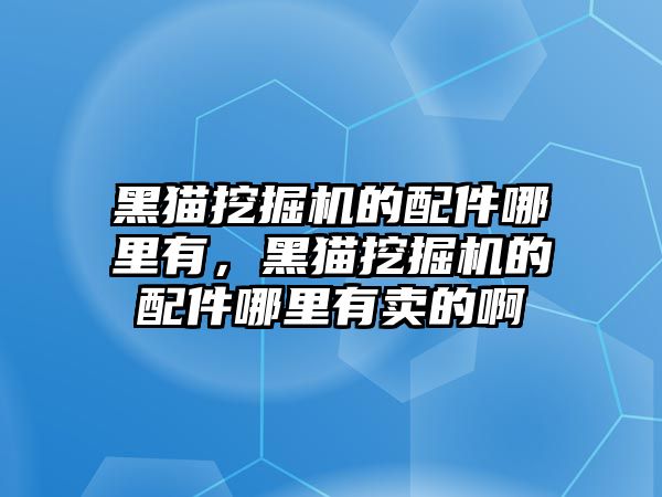 黑貓挖掘機(jī)的配件哪里有，黑貓挖掘機(jī)的配件哪里有賣的啊