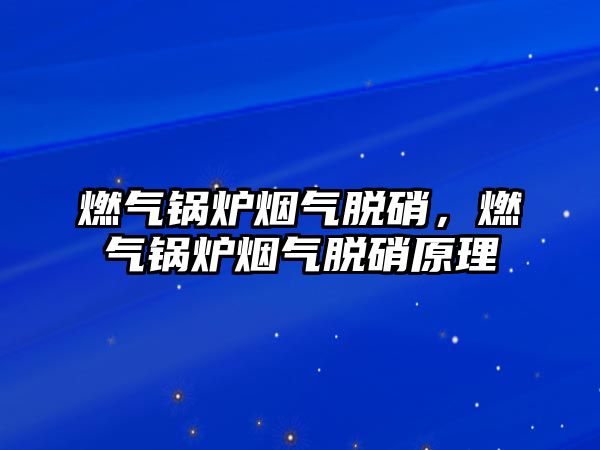 燃氣鍋爐煙氣脫硝，燃氣鍋爐煙氣脫硝原理