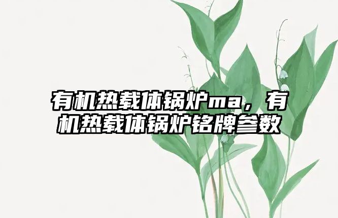 有機熱載體鍋爐ma，有機熱載體鍋爐銘牌參數