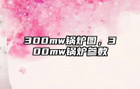 300mw鍋爐圖，300mw鍋爐參數