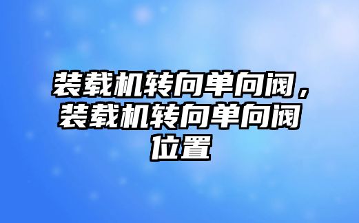 裝載機轉向單向閥，裝載機轉向單向閥位置