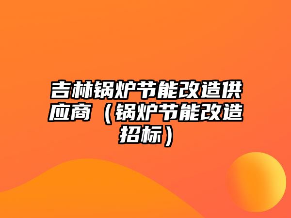 吉林鍋爐節能改造供應商（鍋爐節能改造招標）