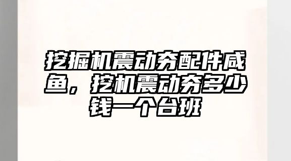 挖掘機震動夯配件咸魚，挖機震動夯多少錢一個臺班