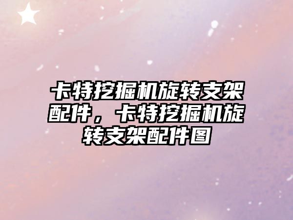 卡特挖掘機旋轉支架配件，卡特挖掘機旋轉支架配件圖